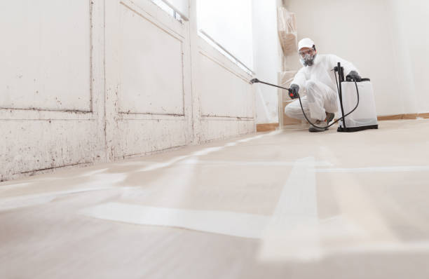 Black mold remediation team in Portland